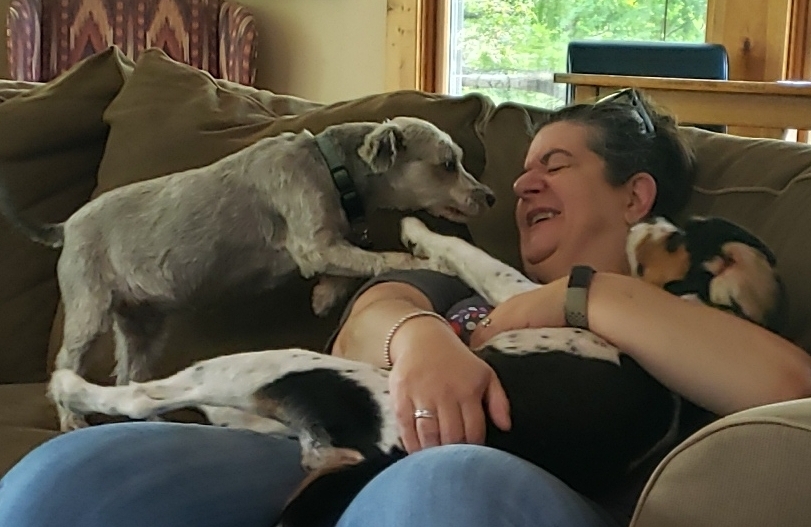 2021-08-01 cold dogs equal cuddly dogs.jpg